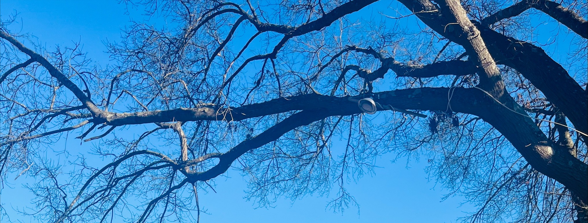 "Isua Chu Kohhran lu ani." (Kolosa 1:18)